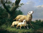 unknow artist Sheep 074 oil painting picture wholesale